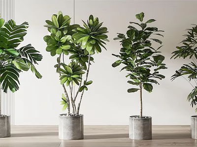 Indoor Potted Green Plants With Lush Leaves In Gray Concrete Pots For Modern Home Decor 3d model