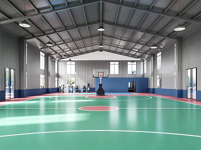 Spacious Indoor Basketball Gym With Green Court And Hoop 3d model