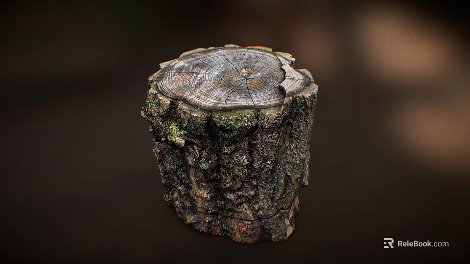 Close Up Of Tree Stump With Visible Annual Rings Green Moss And Textured Bark 3d model 