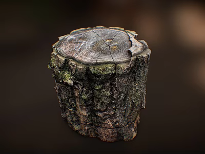 Close Up Of Tree Stump With Visible Annual Rings Green Moss And Textured Bark 3d model