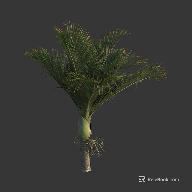 Tall Lush Tropical Palm Tree With Green Fronds And Thick Trunk 3d model 