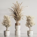 Elegant Decorative Bonsai Potted Plants In White Ceramic Pots With Copper Accents For Indoor Decor