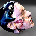 Brain structure Head structure 3d model