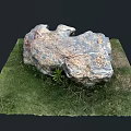 Natural Stone and Wood Landscape Feature With Green Moss Grass and Dirt
