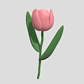 Beautiful Pink Tulip Plant with Fresh Green Leaves and Long Green Stem