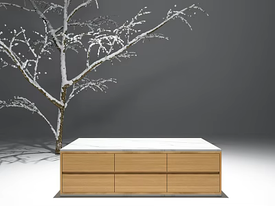 Wooden Coffee Table With White Top And Drawers Next To Snowy Tree 3d model