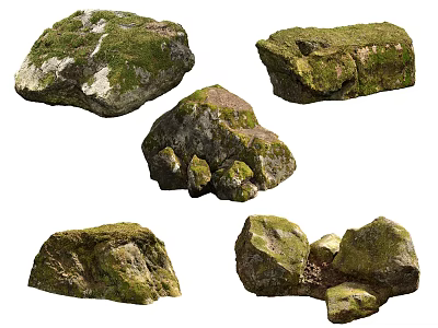Natural Stone Wood With Mossy Textures And Rough Organic Surfaces Design 3d model
