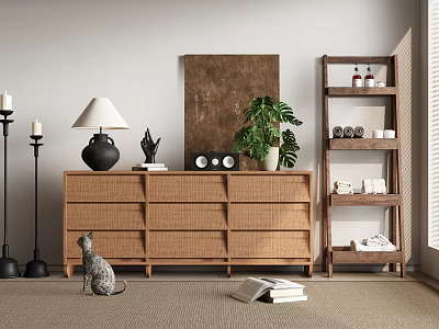 Woven Rattan Entryway Cabinet Sideboard With Cat Floor Lamp Potted Plant And Decorative Painting 3d model