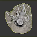 Natural Wooden Stone Tree Stump with Exposed Roots and Small Plants on Soil