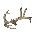Natural Deer Antler Decorative Wall Mounted Art For Home Decor