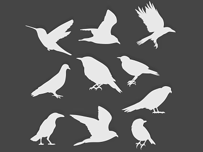 White Silhouettes of Various Flying Bird Species in Different Poses on Gray Background 3d model