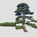 Diverse Plant Combination with Varied Tree Shapes for Garden Landscaping Design