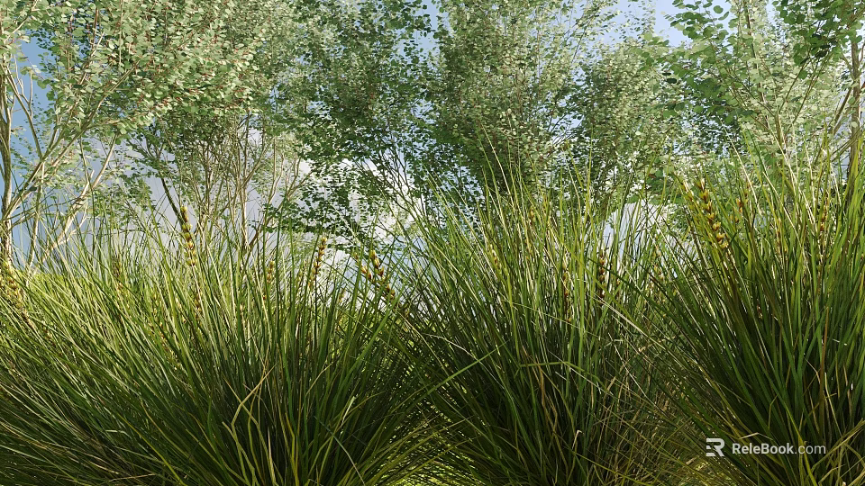 Lush Green Shrubs Growing In Natural Garden With Tall Trees And Sunlight 3d model 