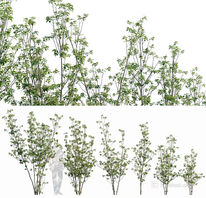 Lush Green Garden Plants With Various Heights Bushes And Dense Foliage 3d model 