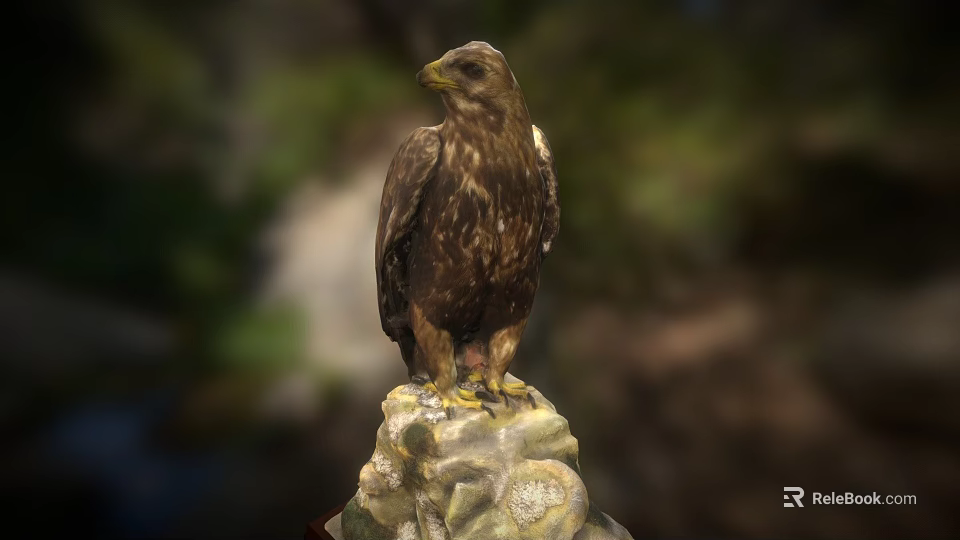 Majestic Eagle Standing On Rocky Perch In Natural Outdoor Environment 3d model 