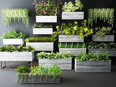 Bonsai and Potted Plants Collection with Various Wooden Pots Hanging Greenery and Indoor Plants 3d model