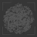 Tall Flowering Arbor with Pink Blossoms in Full Bloom and Silhouette Figure