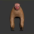 Monkey Cartoon Monkey Anime Monkey Stylized Monkey Fantasy Style Monkey Toy 3d model