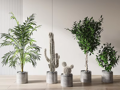 modern potted plant potted plant 3d model modern potted plant potted plant 3d model