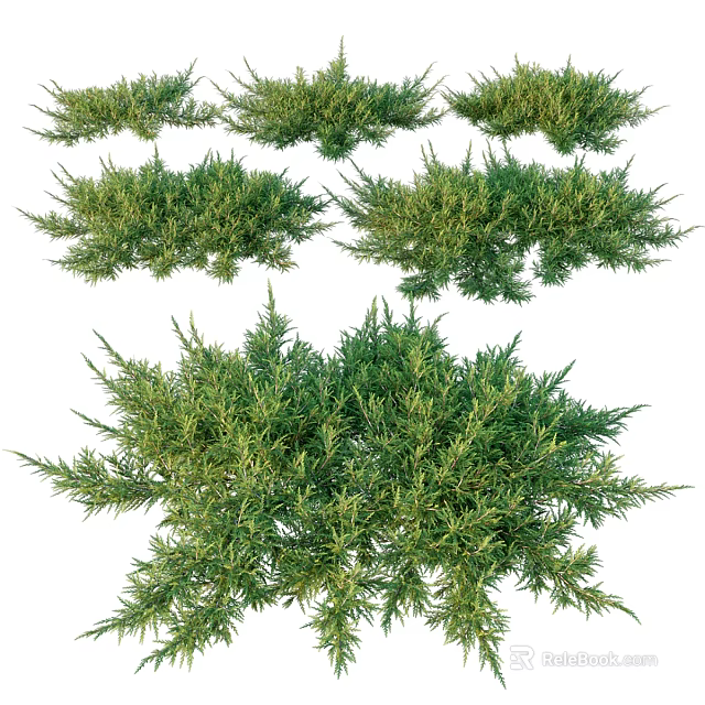 Multiple Green Shrubs With Lush Foliage And Various Natural Growth Shapes 3d model 