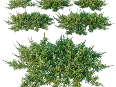 Multiple Green Shrubs With Lush Foliage And Various Natural Growth Shapes 3d model