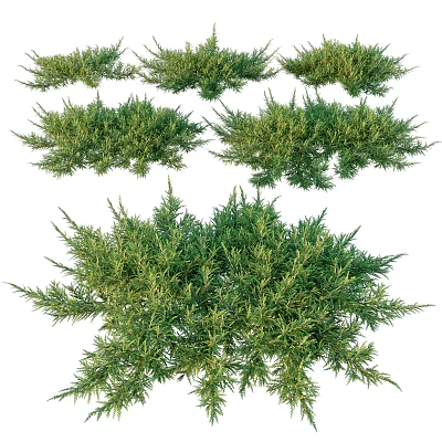 Multiple Green Shrubs With Lush Foliage And Various Natural Growth Shapes 3d model