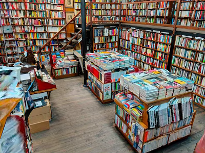 Creative Book Art Showcase in Cozy Bookstore Interior with Shelves and Stacked Books 3d model