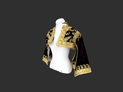 Dark Purple Velvet Cape with Intricate Gold Embroidery and Decorative Collar Design 3d model