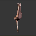 Woman Performing Yoga Handstand With One Hand Balancing Extended Legs On Dark Background