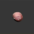 Vibrant Red Mushroom Plant with White Spots on Surface and Dark Background