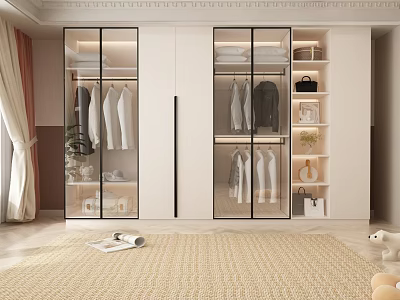 Modern Wardrobe Interior Design with Glass Door Hanging Clothes and Storage Shelves 3d model