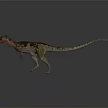 Reptile Dinosaur With Green Brown Skin Red Throat Standing On Gray Background Shadow And Reflection