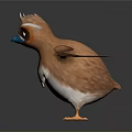 Cartoon Bird With Brown And White Feathers Blue Beak Spread Wings Standing Pose