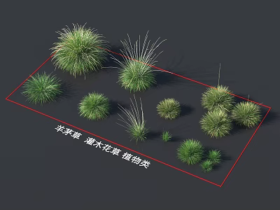 Various Grass And Shrub Plant Models For Garden Landscaping Design 3d model
