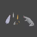 Low Poly Animal Game Movie Characters With Various Species 3D Models Design