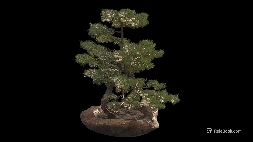 Bonsai Plant with Curved Trunk Green Pine Needles on Natural Stone Base 3d model 