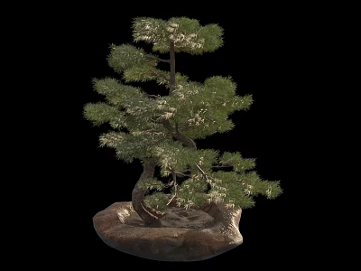 Bonsai Plant with Curved Trunk Green Pine Needles on Natural Stone Base 3d model