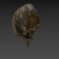 Horseshoe Crab With Brown Shell And Unique Body Structure Against Blue Sky