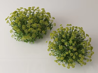 Pair of Green Leafy Plants With Small Yellow Flowers And Lush Bushy Appearance 3d model