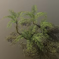 Lush Palm Trees With Green Feathery Leaves Brown Trunks And Scattered Leaves In 3D Render