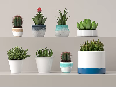 Various Bonsai Potted Plants With Different Colored Pots And Succulents Cacti 3d model