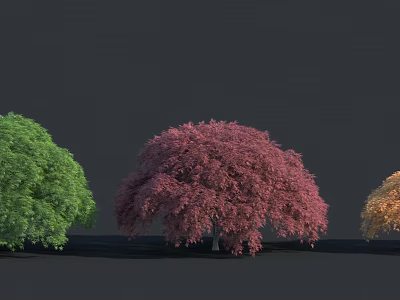 Modern Shrub Outdoor Plant Landscape 3d model