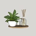 Perfume Cosmetics Display With Aromatic Bottles Reed Diffusers And Green Plant On Wooden Tray