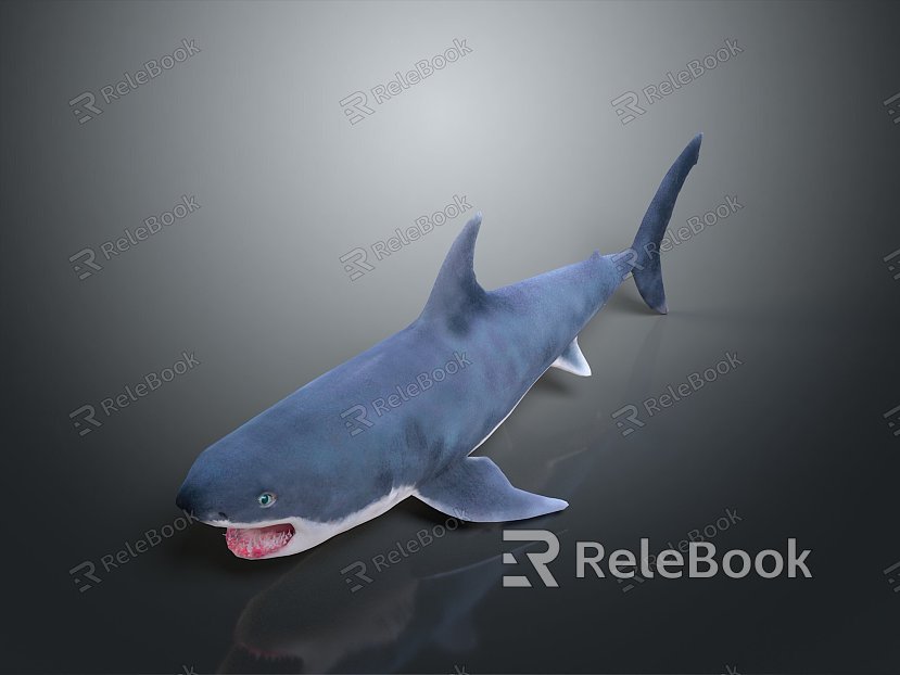 shark great white shark whale shark hammerhead shark tiger head shark man-eating shark blue shark coral red coral white coral model