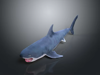 3D Rendered Blue Shark with Open Mouth Sharp Teeth on Grey Background 3d model