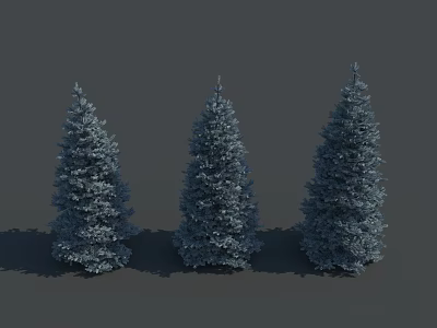 Three Blue Green Pine Trees on Gray Background as 3d model