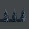 Three Blue Green Pine Trees on Gray Background as 3d model