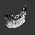 Scenic Coastal Cliff Landscape With Rock Caves Sand Beach And Vegetation