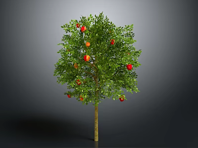 Vibrant Fruit Tree With Green Leaves And Red Orange Fruits As Healthy Food Source 3d model