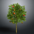 Vibrant Fruit Tree With Green Leaves And Red Orange Fruits As Healthy Food Source